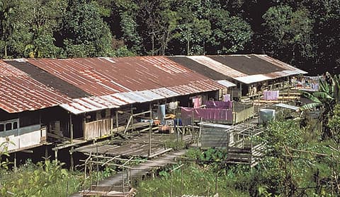 Rundreise "Die Natur Borneos"