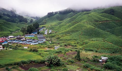 Tour "Kuala Lumpur to Penang"