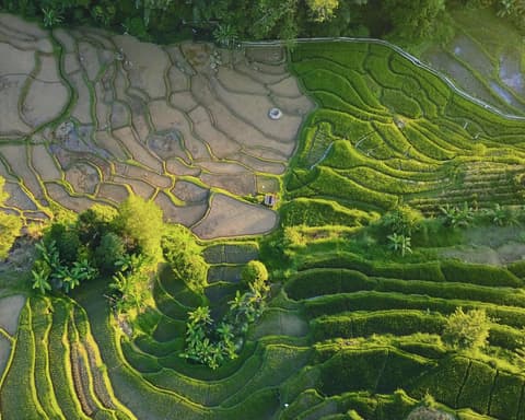 Privatrundreise "Orang Utan & Lake Toba"