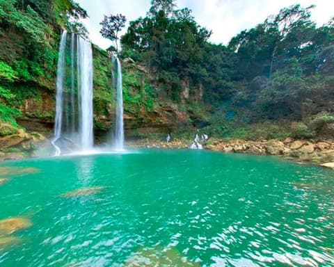 LACANDONA CLASICO (CVU)