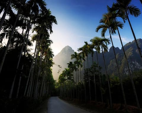 Kurztour "Elephant Hills Jungle Safari" (1 Nacht)