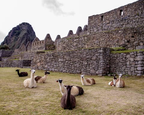 AVENTURA DE COLORES, VINICUNCA Y HUMANTAY (Económico) | 5D-4N