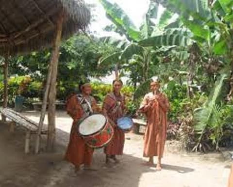 Selva Central Básico 02 Días / 01 Noche