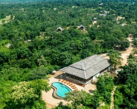 Kurztour "Elephant Bush Camp"