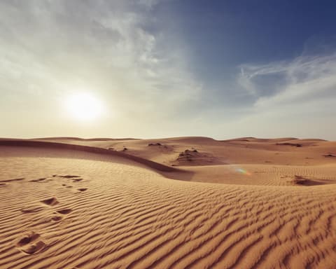 Circuit Découverte : Dubai, Abu Dhabi, Sharjah