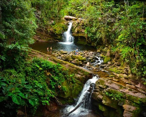 Selva Central y sus Aromas 05 Días / 04 Noches