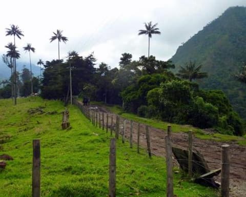 Rundreise "Facettenreiches Kolumbien"  
