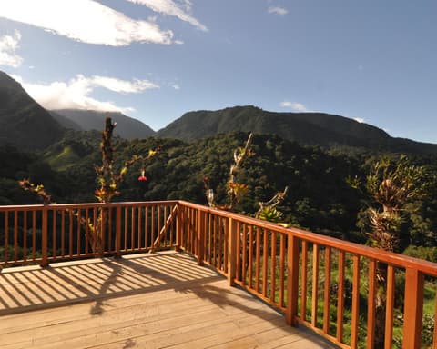 Kurztour "Mount Totumas Cloud Forest Lodge" (3 Nächte)