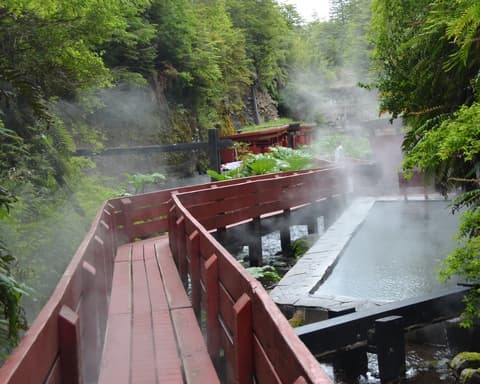 Bloqueo Pucón 05 Noches Vía SKY - Hotel Vientos del Sur