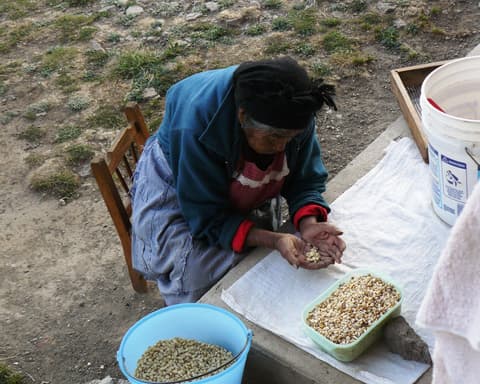 Wandertour "Oaxacas grüne Bergdörfer"