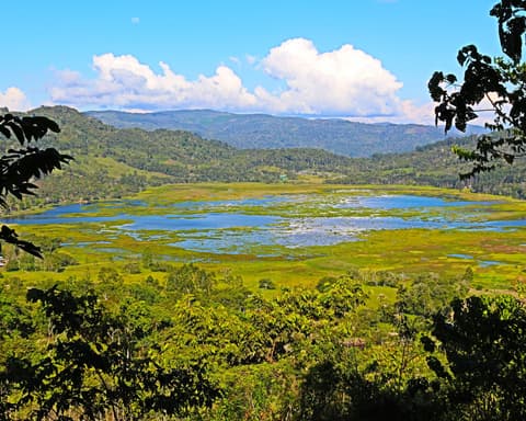 Selva Central y sus Aromas 05 Días / 04 Noches