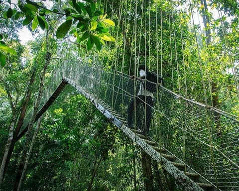 Kurztour "3 Tage Taman Negara"