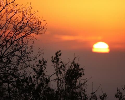 Severin Tsavo Safari