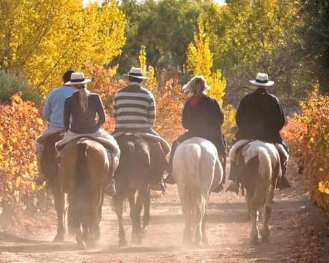 Paquete Mendoza a Caballo 
