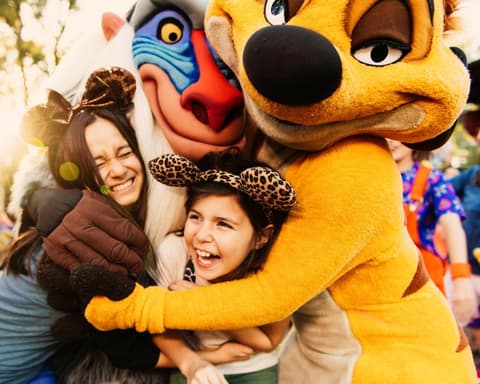 ORLANDO PARQUES Y COMPRAS