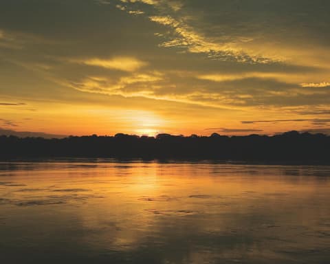 SELVA Y NATURALEZA EN ALBERGUE AMAZONICO| 3D-2N