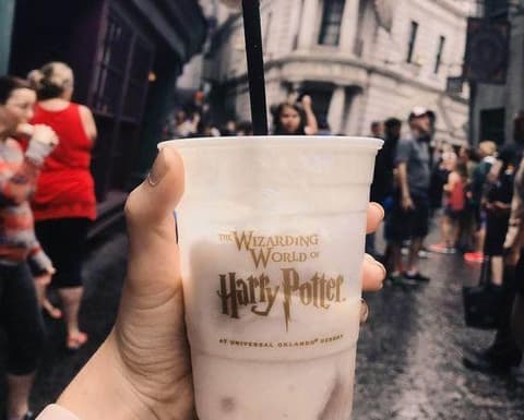 ORLANDO PARQUES Y COMPRAS