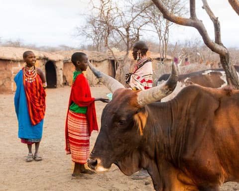 EXPLORE KENYA Sulle Orme dei Grandi Mammiferi