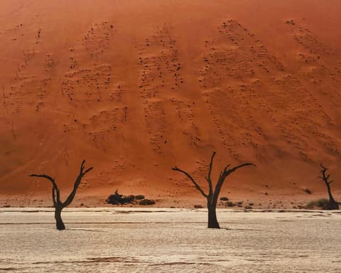 Safari "3 Tage Sossusvlei" 