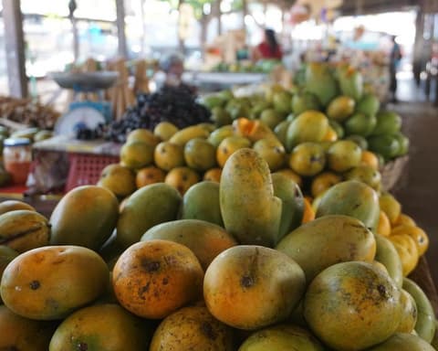 Privatrundreise "Der unberührte Norden Sri Lankas"