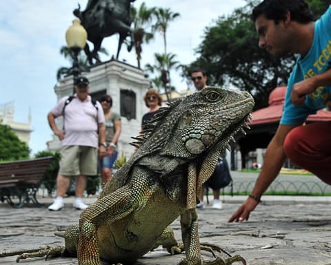Guayaquil and Galapagos 8 dias 