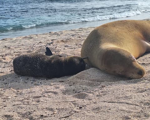  Santa Cruz & San Cristobal 5 days