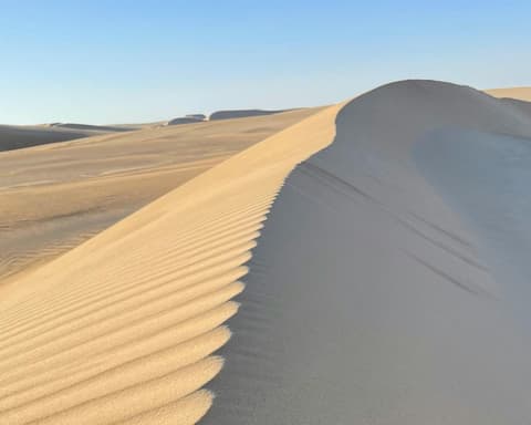 Private Kurztour "Oase und Wüste"