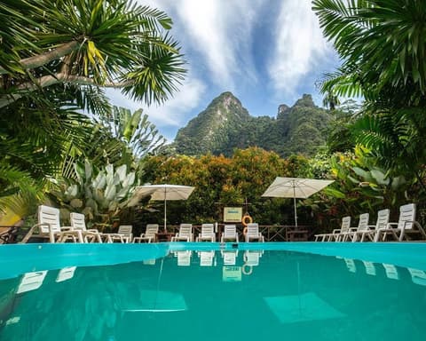 Kurztour "Elephant Hills Jungle Safari" (1 Nacht)