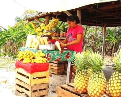 Rundreise "Höhepunkte Yucatan" (Cancun/Riviera Maya)