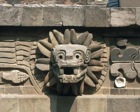 AFTER THE STEPS OF GUADALUPANA