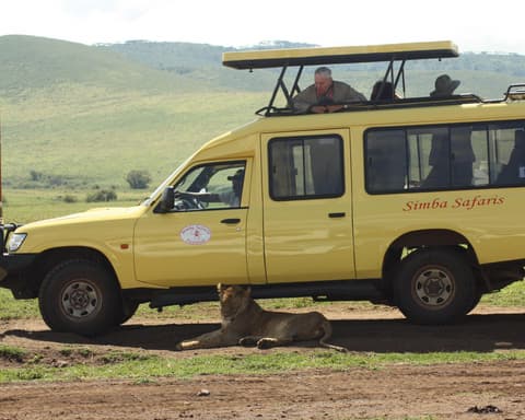Safari "Ngorongoro & Tarangire"