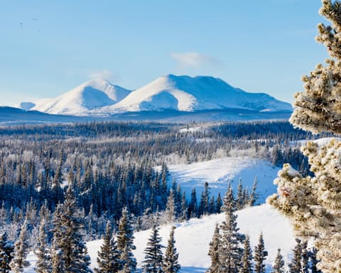 La Magia de Santa Claus y las auroras boreales - Whitehorse
