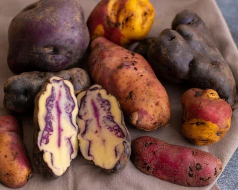 EXPLORE PERU' Civiltà Andine