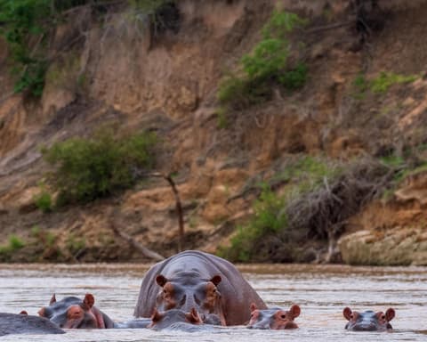 Safari "Tarangire Nationalpark" 