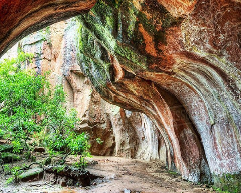 FIN DE SEMANA en TOROTORO 2D1N - TIERRA DE LOS DINOSAURIOS