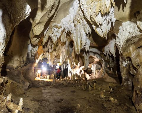 Kurztour "Der Norden Borneos"