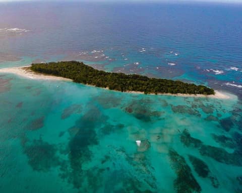 Ciudad de Panamá & Bocas del Toro con Playa Tortuga Hotel