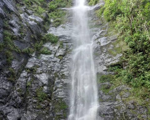 Feriado Semana Santa en Coroico, Paquete 2 días 1 noche