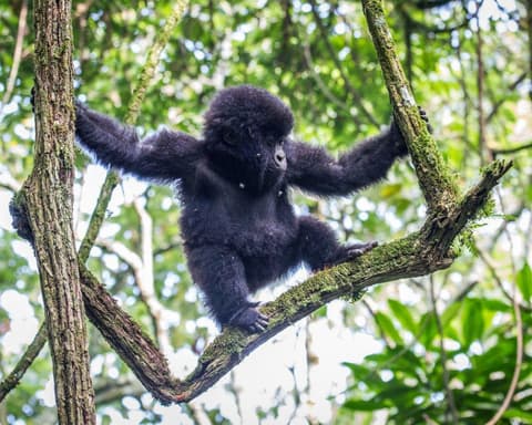 TOUR EXPLORE UGANDA Emozioni Africane