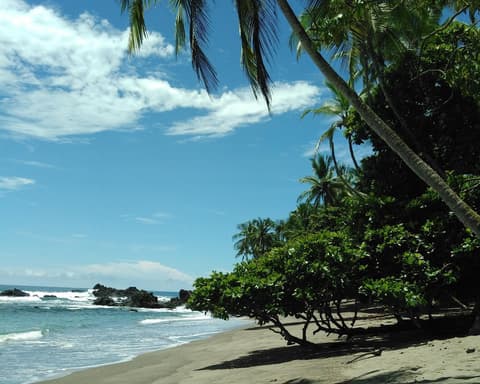 Kurztour "Corcovado & Caño-Insel"