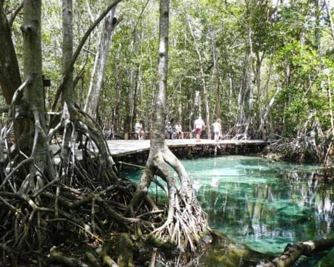 Selbstfahrer-Rundreise  "Ay Caramba" (ab/bis Cancun)