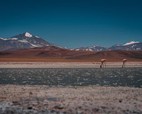 Programa Lo Mejor de La Rioja 