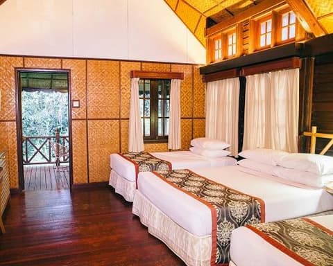 Kurztour "Taman Negara & Cameron Highlands"