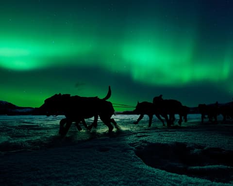 La Magia de Santa Claus y las auroras boreales - Vancouver