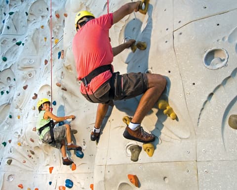 ALASKA - VOYAGER OF THE SEAS