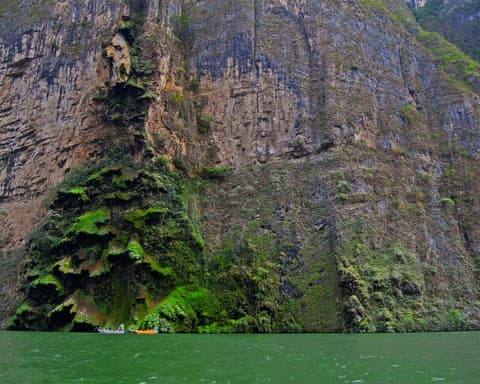 CHIAPAS CLASICO (CVU)