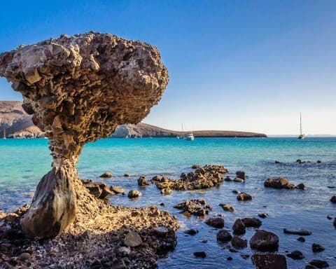 Lo Mejor de Baja California