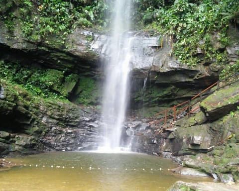 Tarapoto & sus Aromas 04 Días - 03 Noches