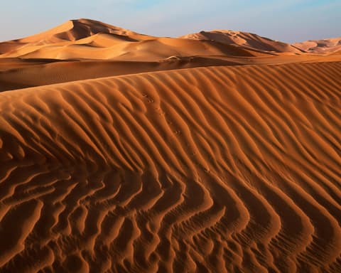 Private Kurztour "Vom Schildkrötenstrand ins Wüstencamp"