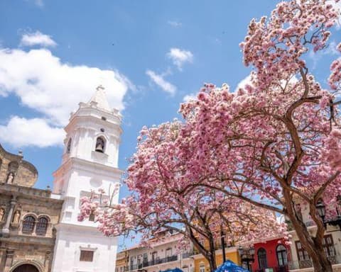 Panamá y Bocas del Toro